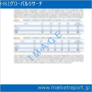 市場と産業調査レポートのイメージ